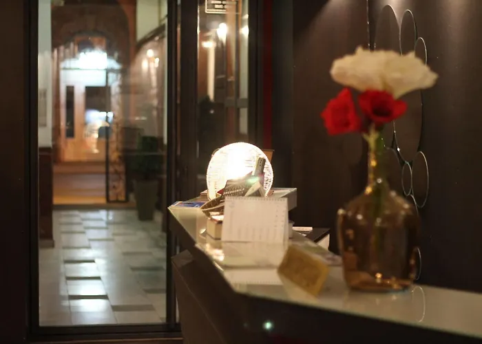 酒店 索卡酒店 3*